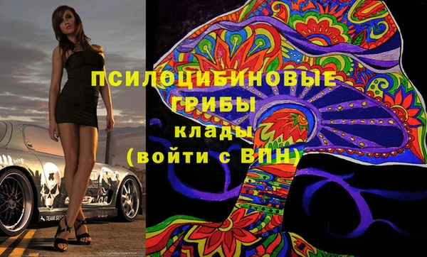 МДПВ Слюдянка